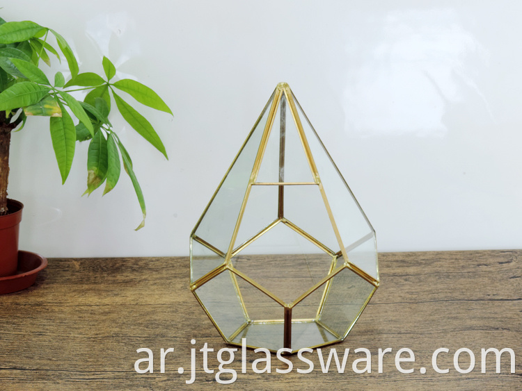 Terrarium Glass Container 